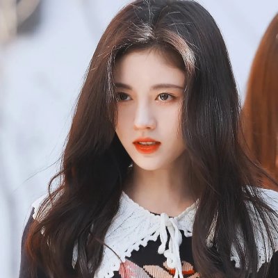 圣诞狗狗救援